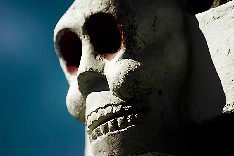 nepal_laughing-skull-of-life-and-death_loxley-browne-photography